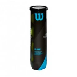 WILSON TOUR PREMIER ALLCOURT 4BALL CAN